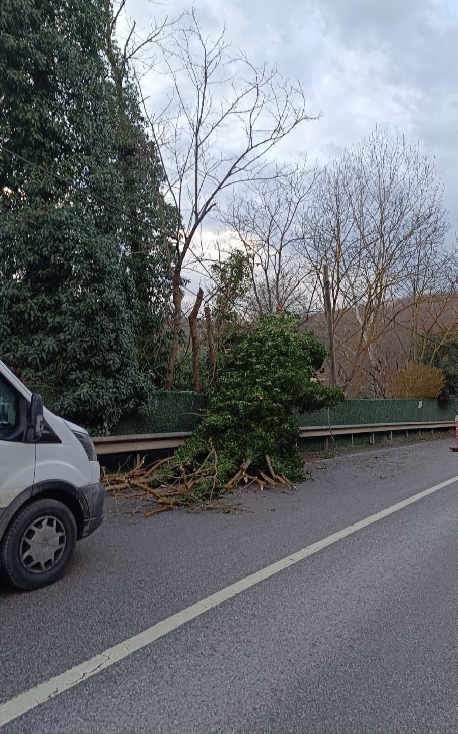 İstanbul için lodos uyarısı: Kuvvetli fırtına etkili olacak
