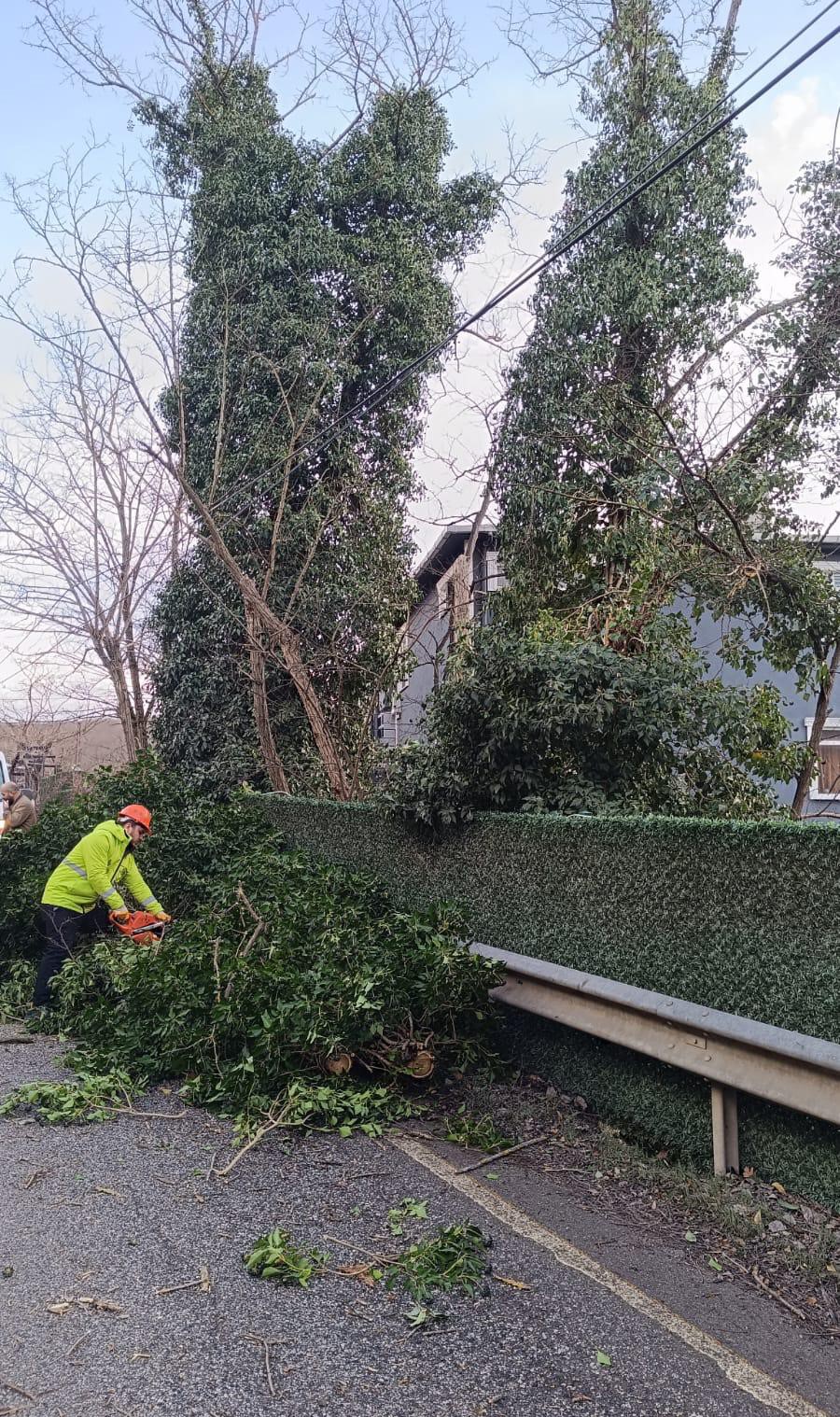 İstanbul için lodos uyarısı: Kuvvetli fırtına etkili olacak
