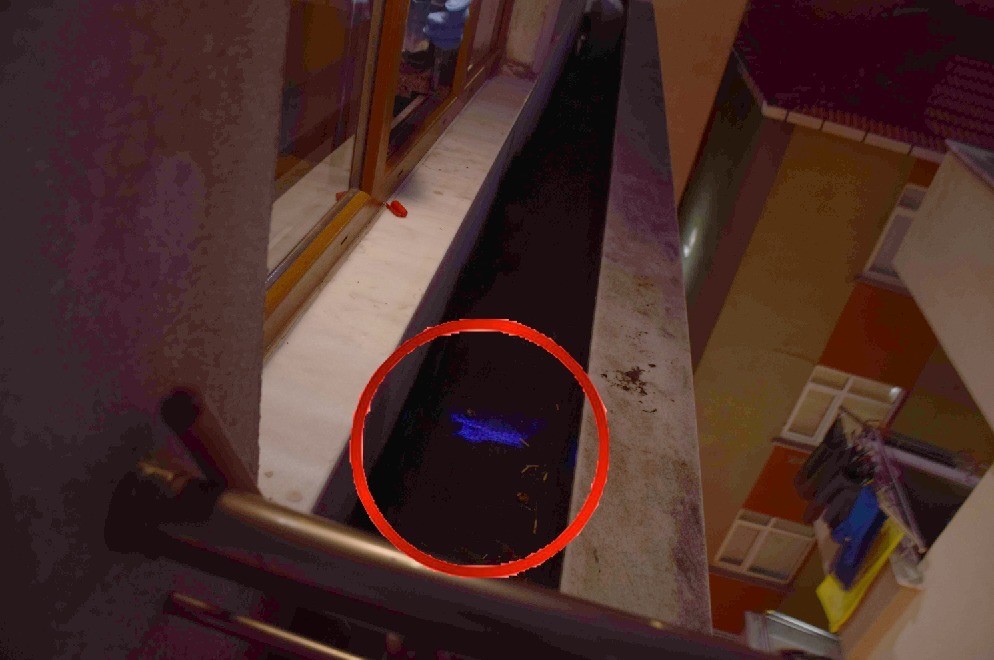 İstanbul’da 2019’daki kayıp dosyasından cinayet çıktı: Eşini öldürüp parçaladı
İstanbul’da 2019’daki kayıp dosyasından cinayet çıktı: Eşini öldürüp parçaladı