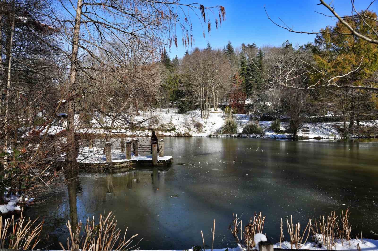 İstanbul’da kar göremeyenler Atatürk Arboretumu’na geldi
