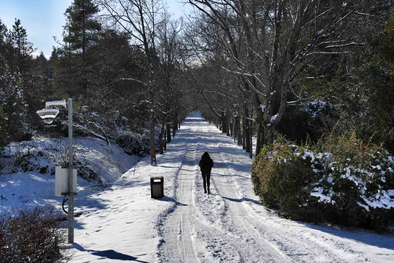 İstanbul’da kar göremeyenler Atatürk Arboretumu’na geldi
