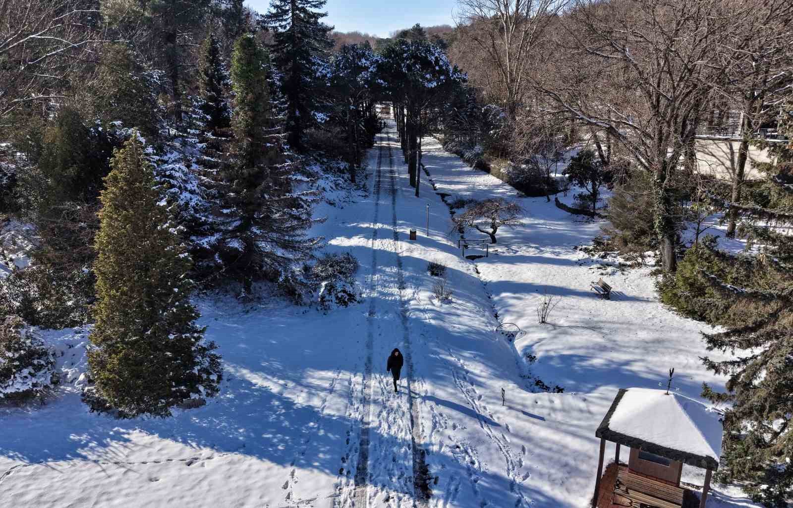 İstanbul’da kar göremeyenler Atatürk Arboretumu’na geldi
