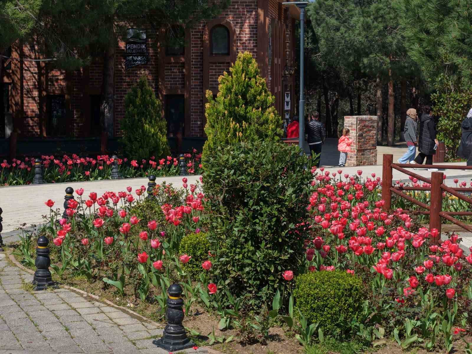 İstanbul’da lale zamanı başladı, Pendik Korusu’nda renk cümbüşü yaşandı
