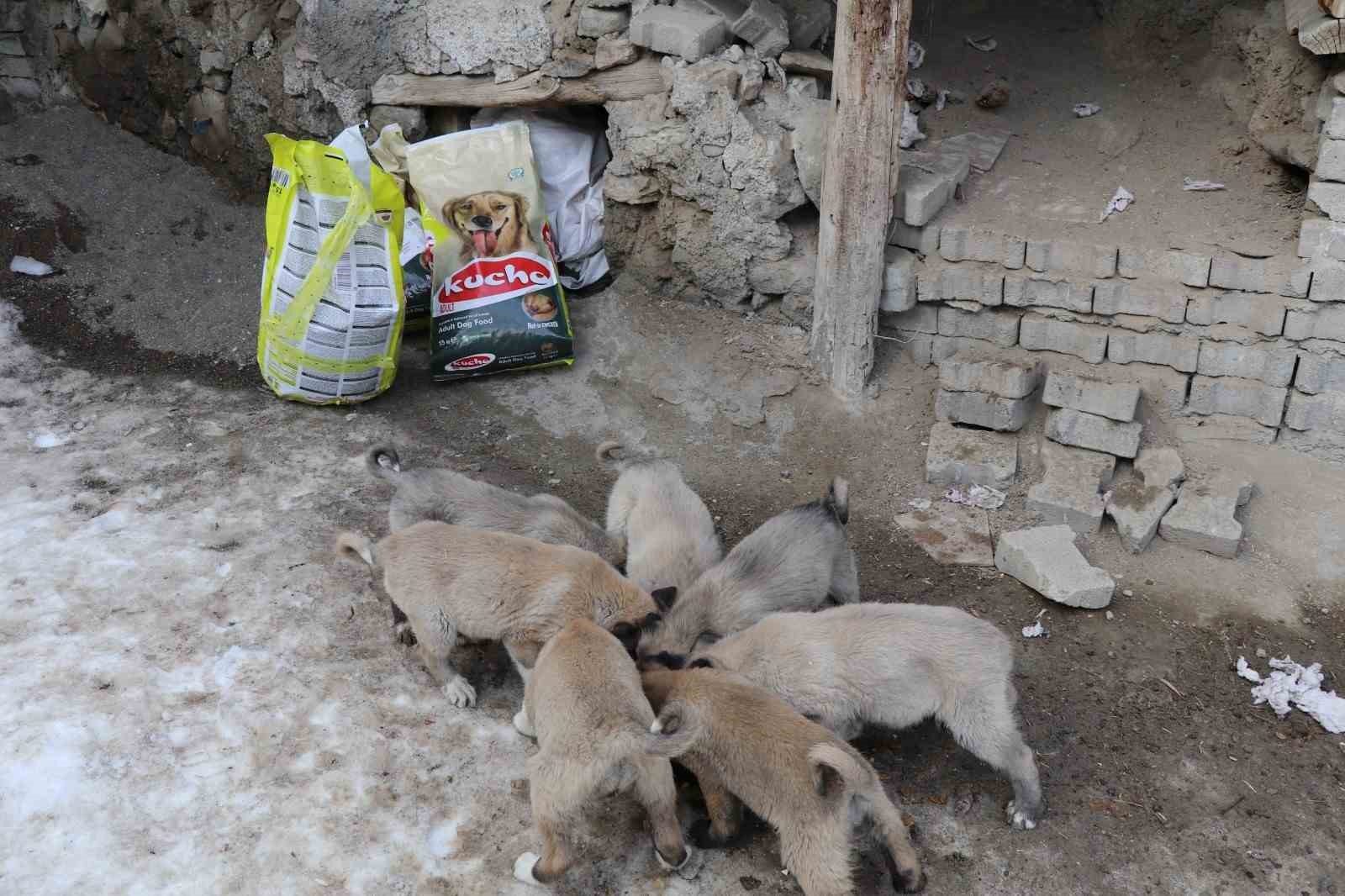 İstanbul’dan Erzurum’a uzanan yardım eli
İstanbul’dan Erzurum’a uzanan yardım eli