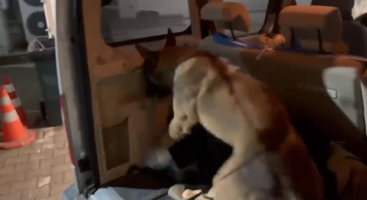 İstanbul’dan Samsun’a uyuşturucu taşıyan şüpheliler Sakarya’da yakalandı
