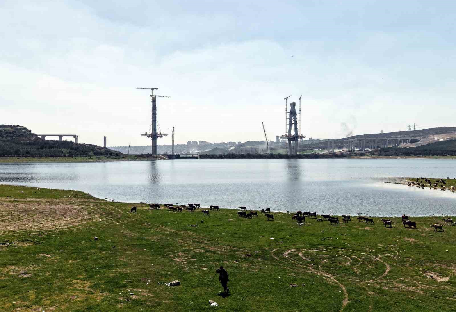 İstanbul’un yeni yüzü; köprü yükselirken keçiler merada
