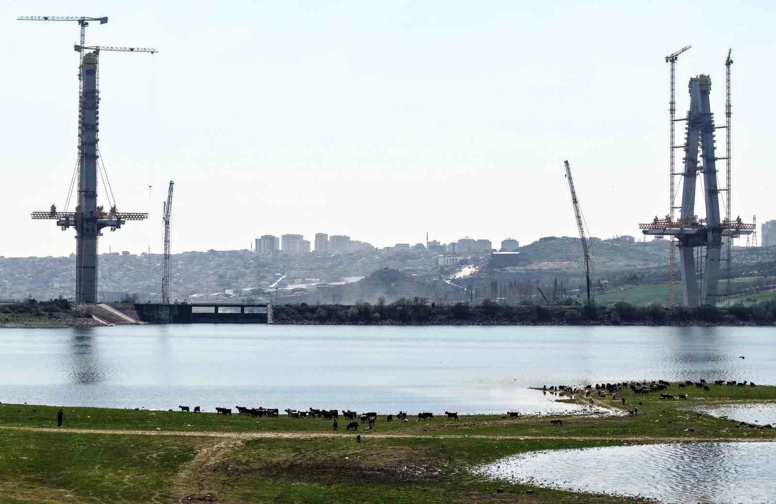 İstanbul’un yeni yüzü; köprü yükselirken keçiler merada
