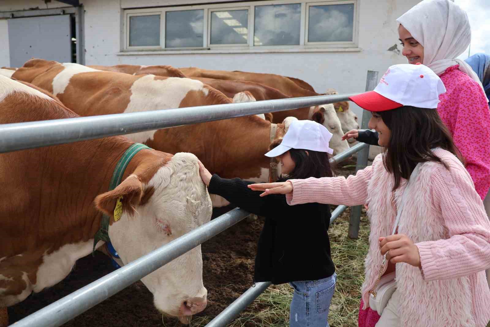 İşte Erzurum Aile ve Sosyal Hizmetler’in 2025 karnesi
