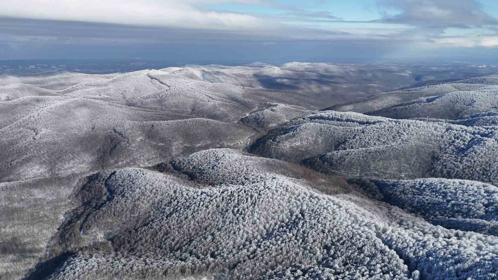 Istranca ormanlarında kar manzaraları
