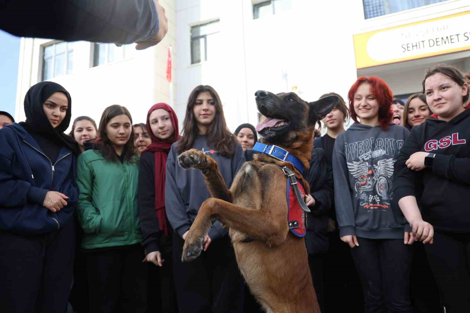 İtaat köpeği Nefes’ten öğrencilere nefes kesen gösteri
