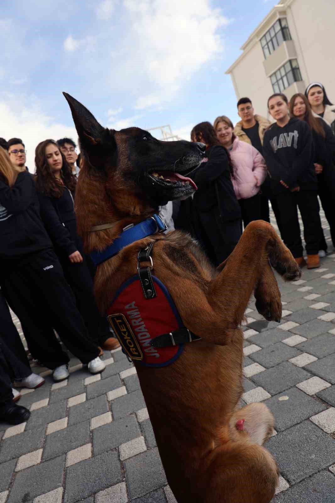 İtaat köpeği Nefes’ten öğrencilere nefes kesen gösteri
