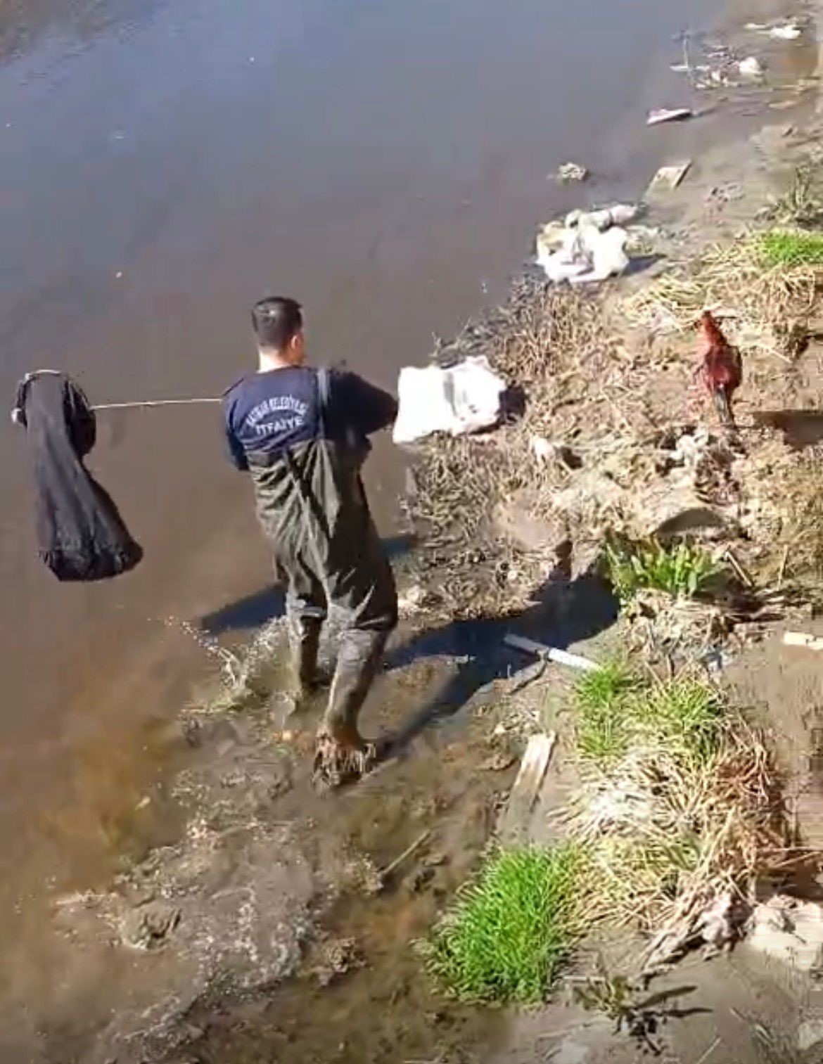 İtfaiye ekipleri dereye düşen horoz için seferber oldu
