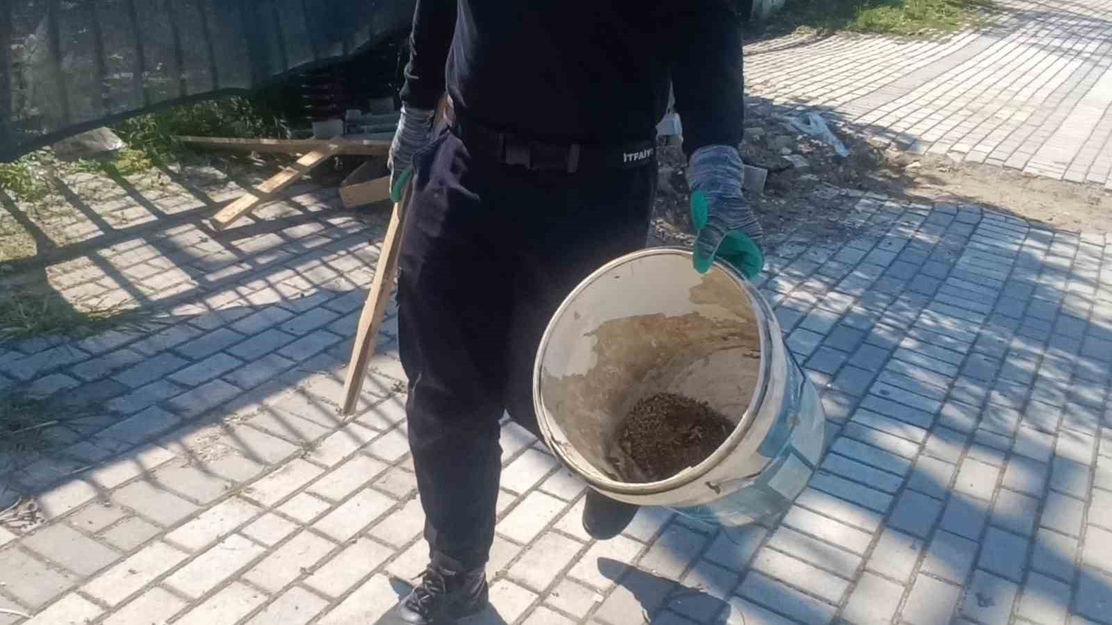 İtfaiyeden rögarda üç kirpi, bacada serçe mesaisi
