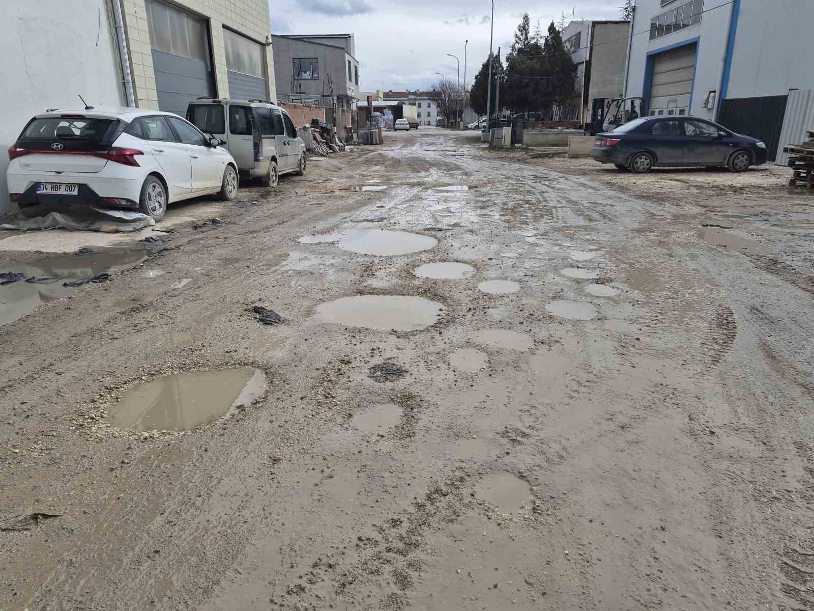 İzahı olmayan şeyin mizahı oldu, sürekli göle dönen sokakta balık tutmaya başladılar
