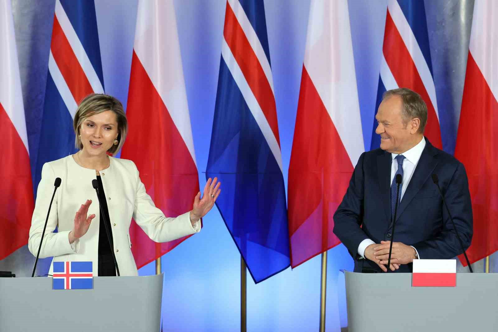 İzlanda, gelecek aylarda AB üyeliği müzakereleri için referanduma gidecek
