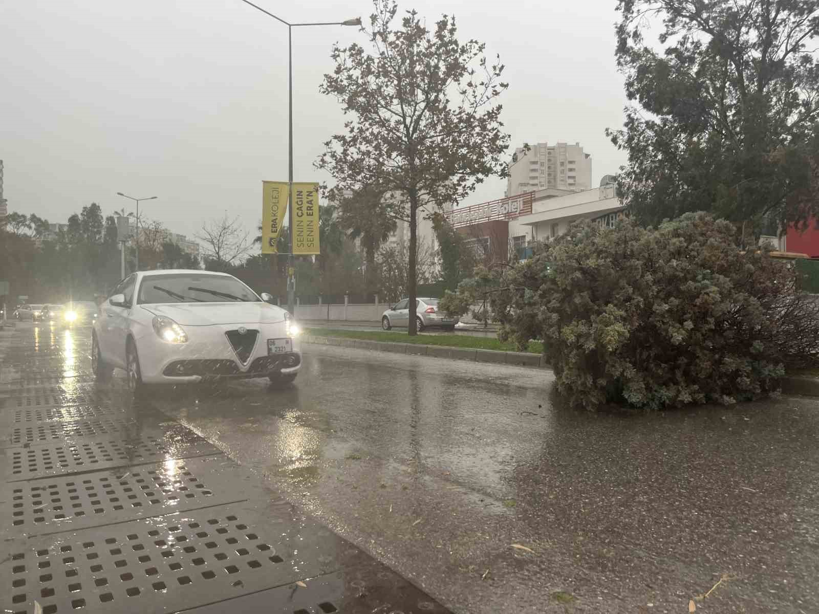 İzmir’de fırtına ağaçları devirdi: 5 araç hasar gördü
İzmir’de fırtına ağaçları devirdi: 5 araç hasar gördü