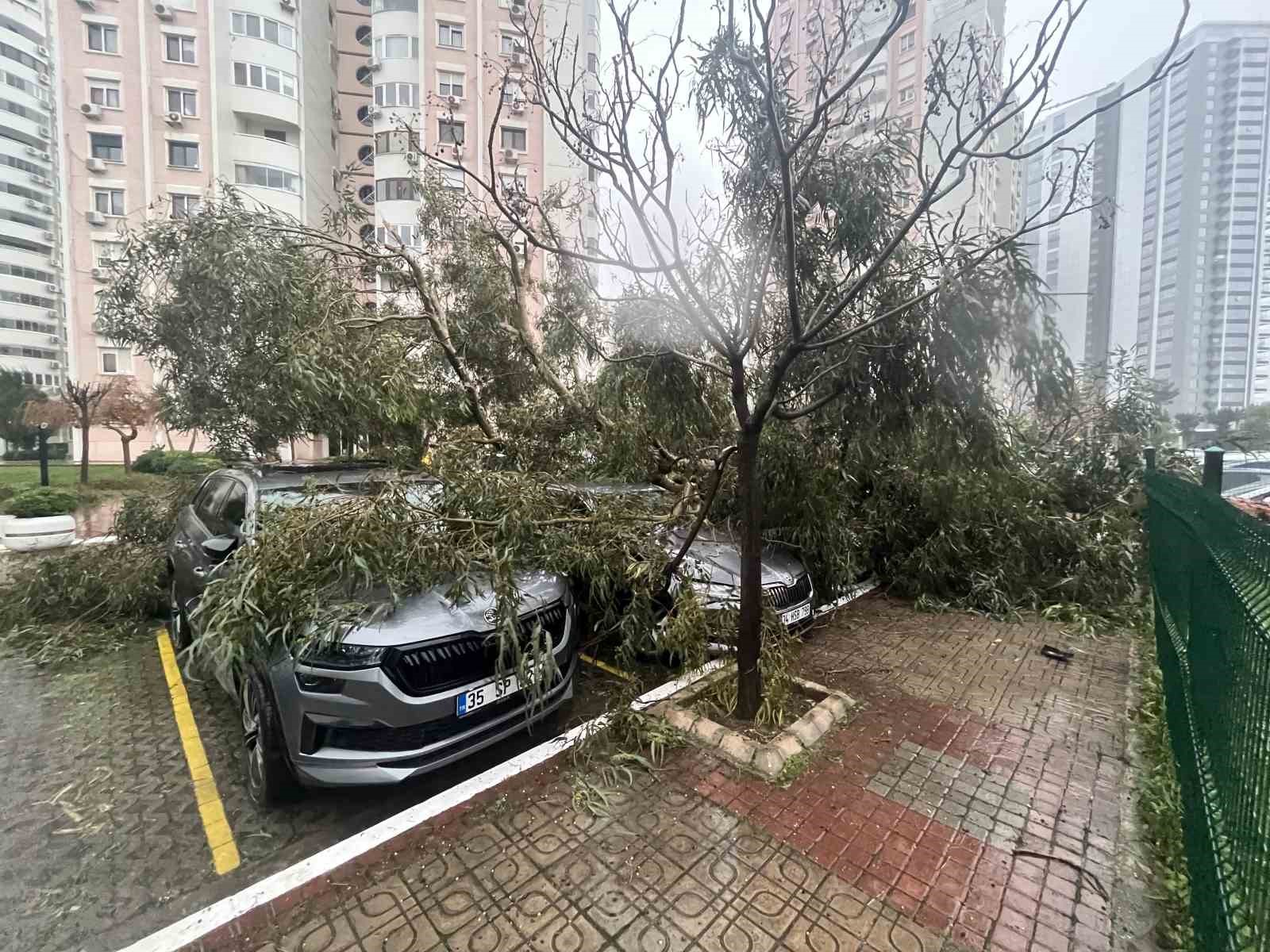 İzmir’de fırtına ağaçları devirdi: 5 araç hasar gördü
İzmir’de fırtına ağaçları devirdi: 5 araç hasar gördü