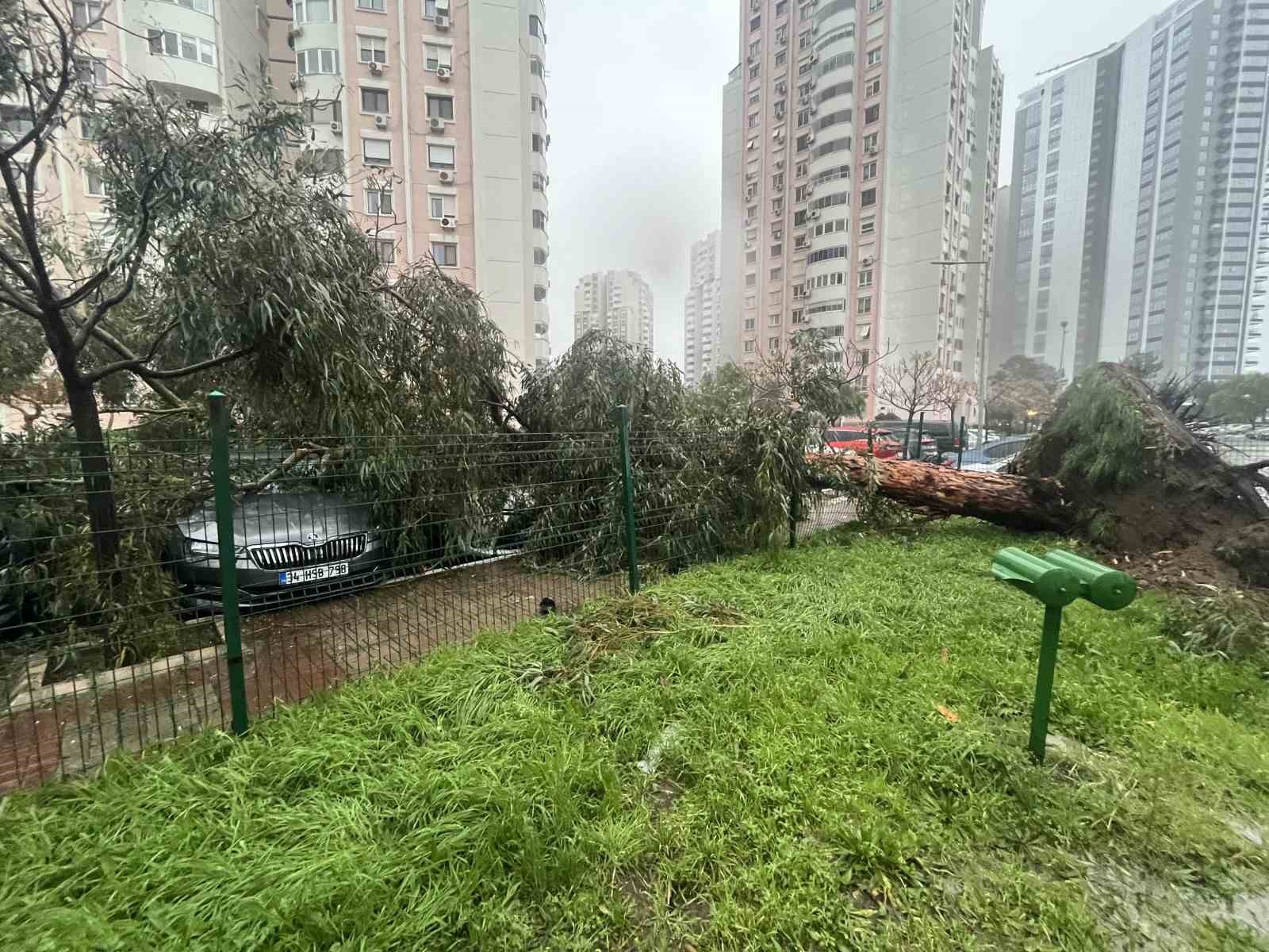 İzmir’de fırtına ağaçları devirdi: 5 araç hasar gördü
İzmir’de fırtına ağaçları devirdi: 5 araç hasar gördü