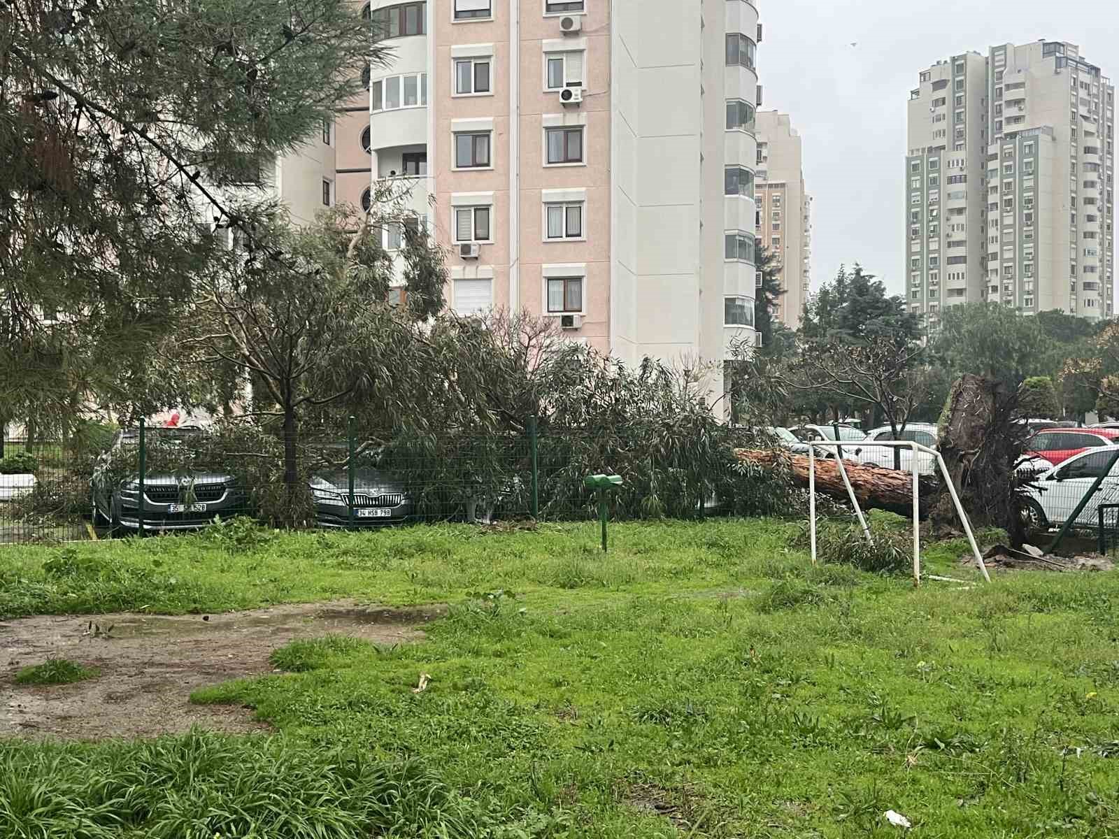 İzmir’de fırtına ağaçları devirdi: 5 araç hasar gördü
İzmir’de fırtına ağaçları devirdi: 5 araç hasar gördü