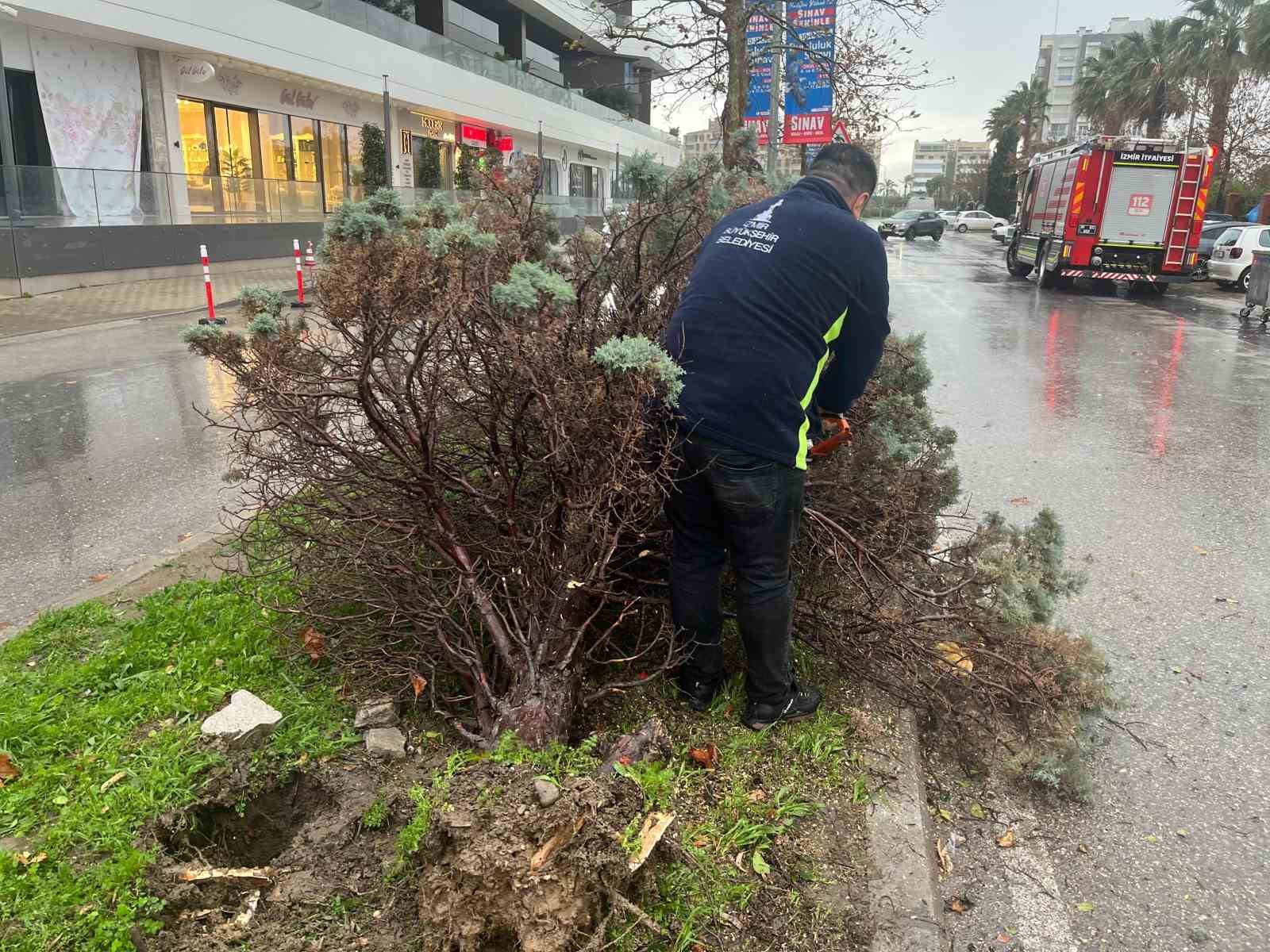 İzmir’de fırtına ağaçları devirdi: 5 araç hasar gördü
İzmir’de fırtına ağaçları devirdi: 5 araç hasar gördü