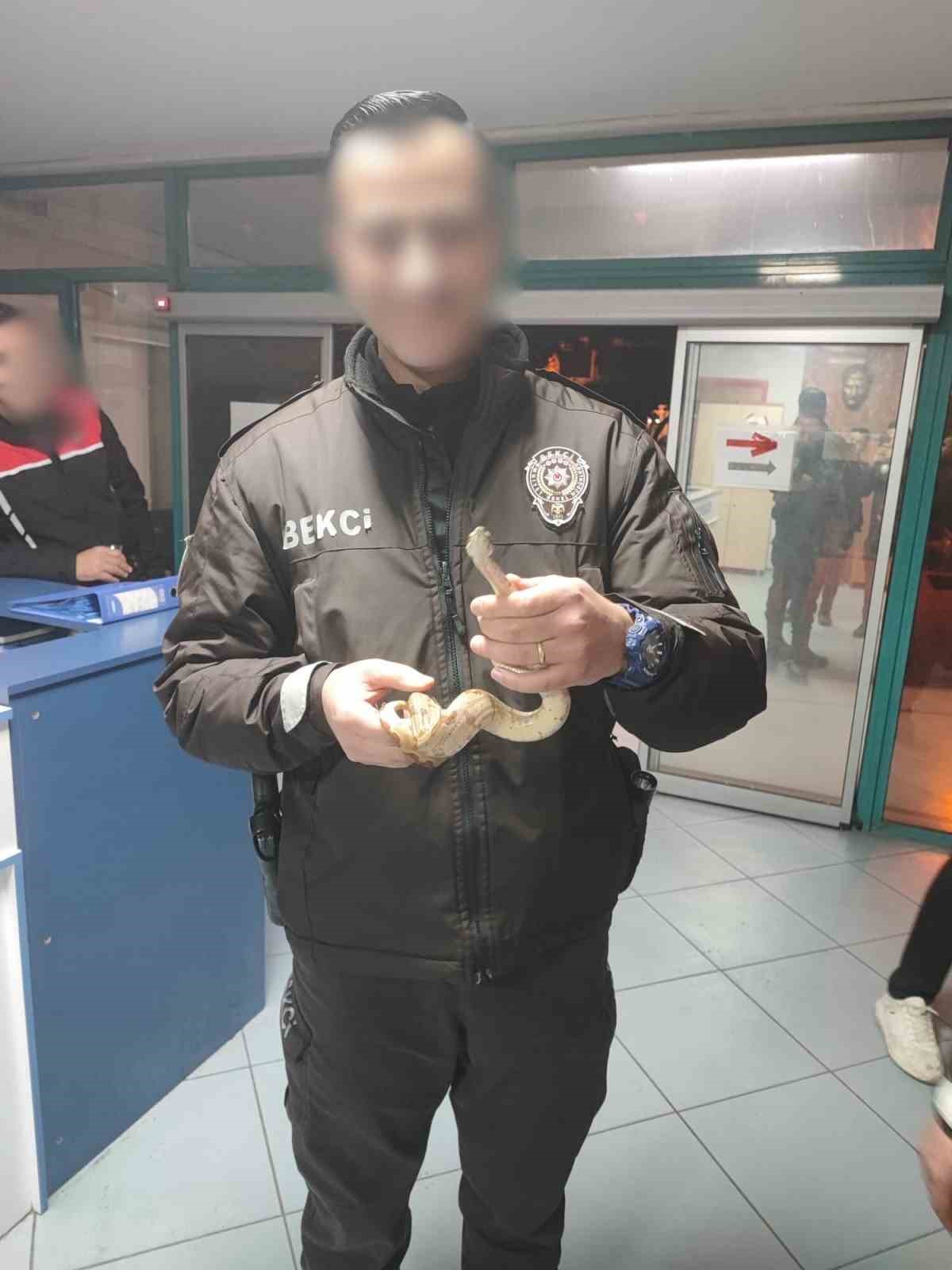 İzmir’de kafede yılanla gezdi, 12 bin lira ceza yedi
