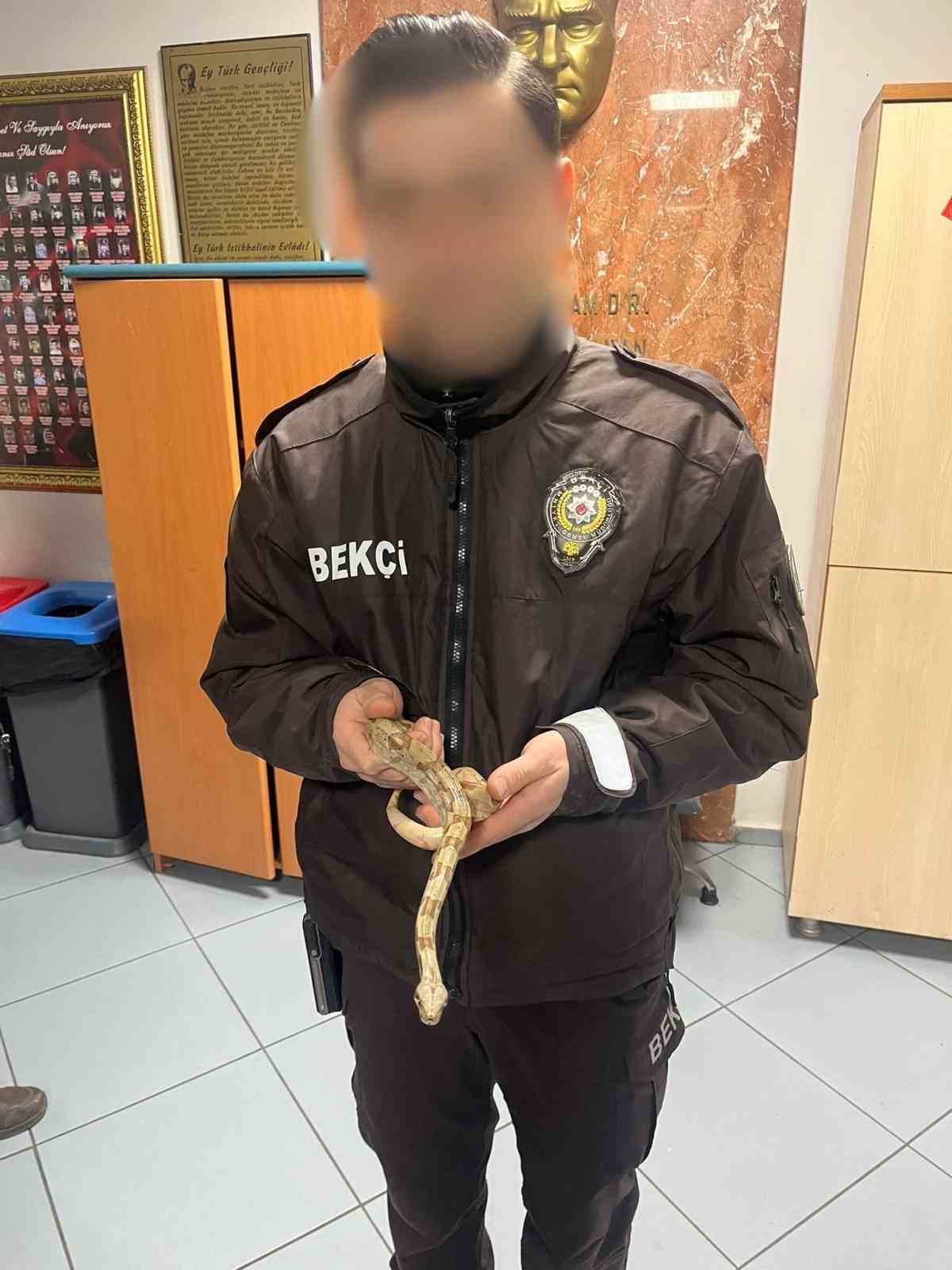 İzmir’de kafede yılanla gezdi, 12 bin lira ceza yedi
