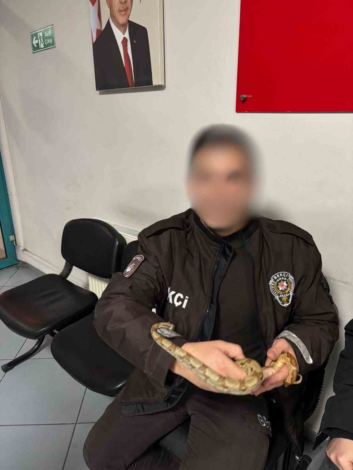 İzmir’de kafede yılanla gezdi, 12 bin lira ceza yedi
