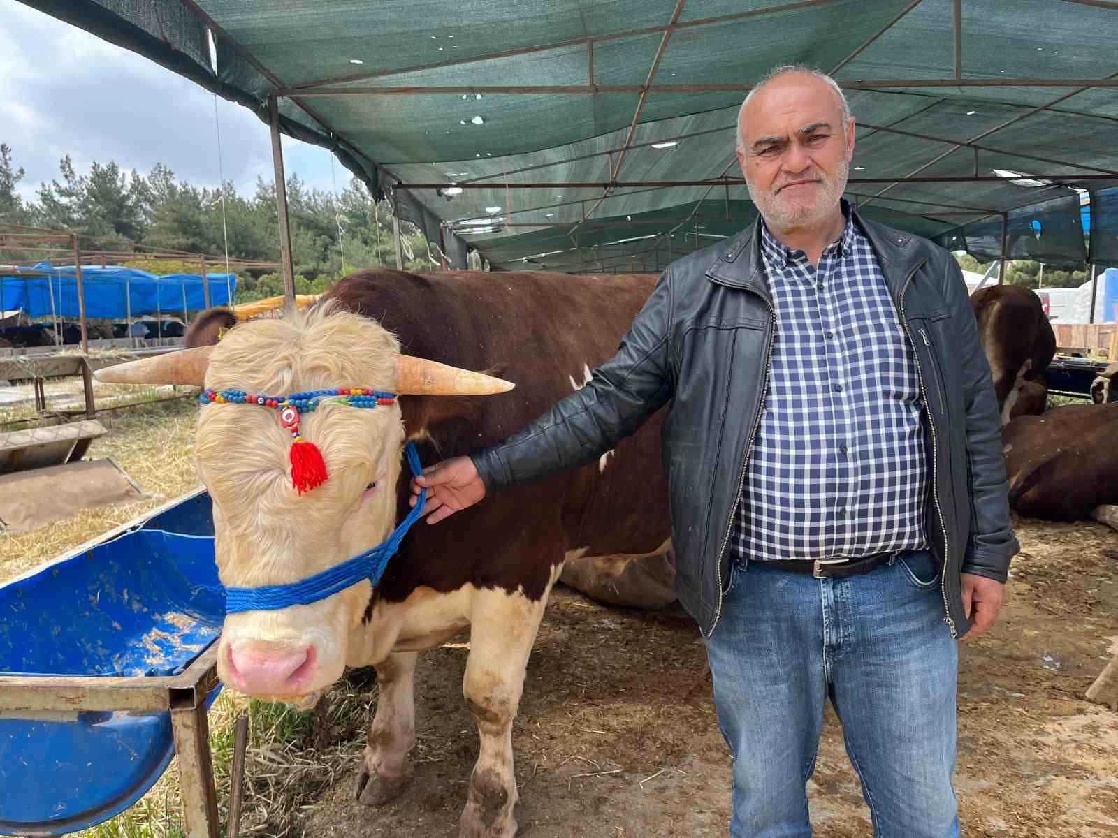 İzmir’de kurban pazarları kurulmaya başladı
