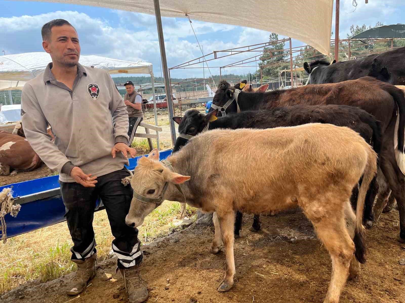 İzmir’de kurban pazarları kurulmaya başladı
