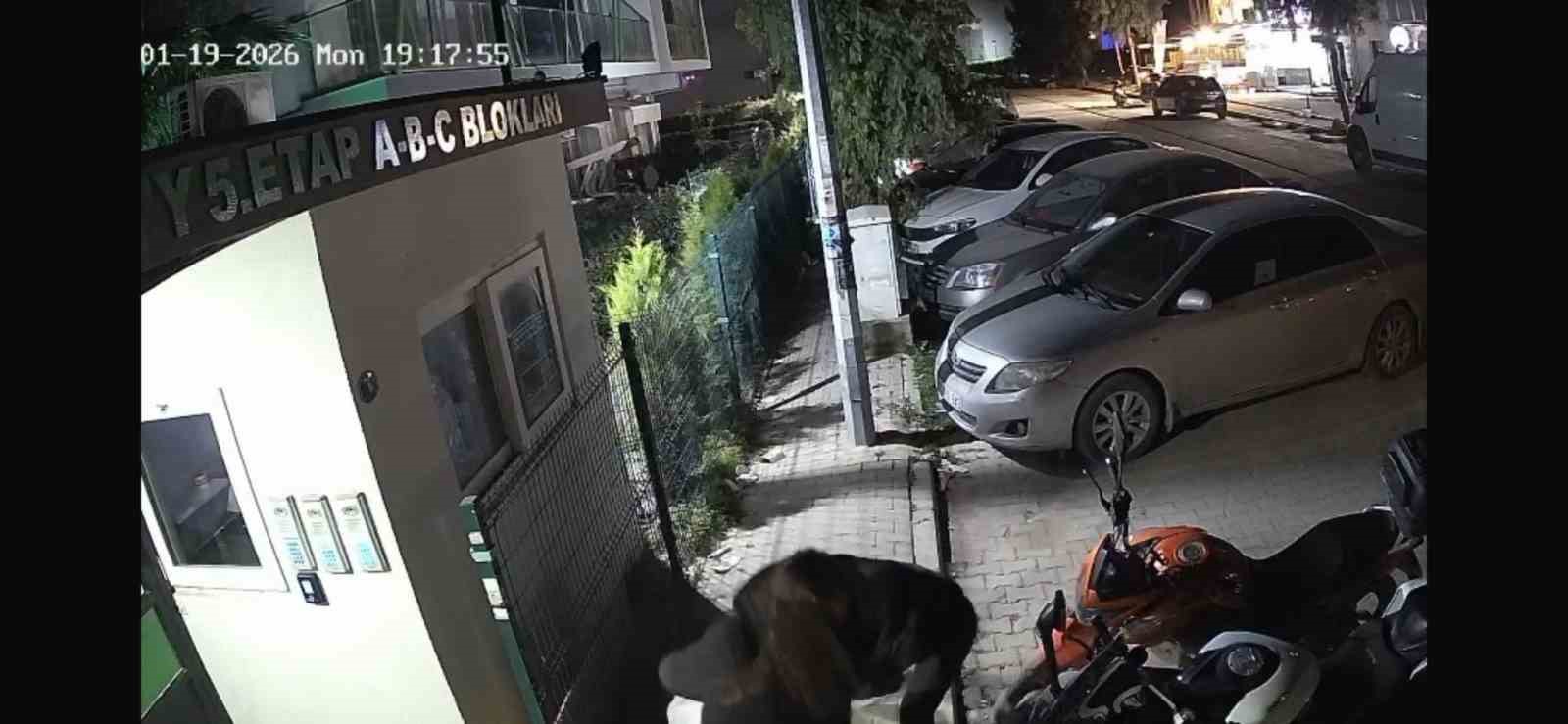 İzmir’de saplantılı eski sevgili cinayeti: Adresini değiştirdi yine kurtulamadı
