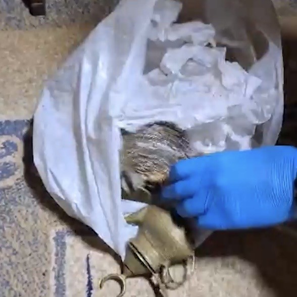 İzmir’de tarihi eser operasyonu: 203 eser ele geçirildi
