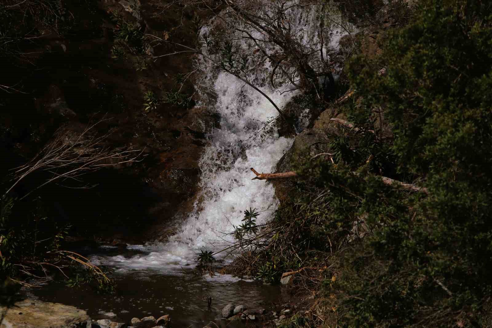 İzmir’de yağışların ardından Sancaklı Şelalesi coştu

