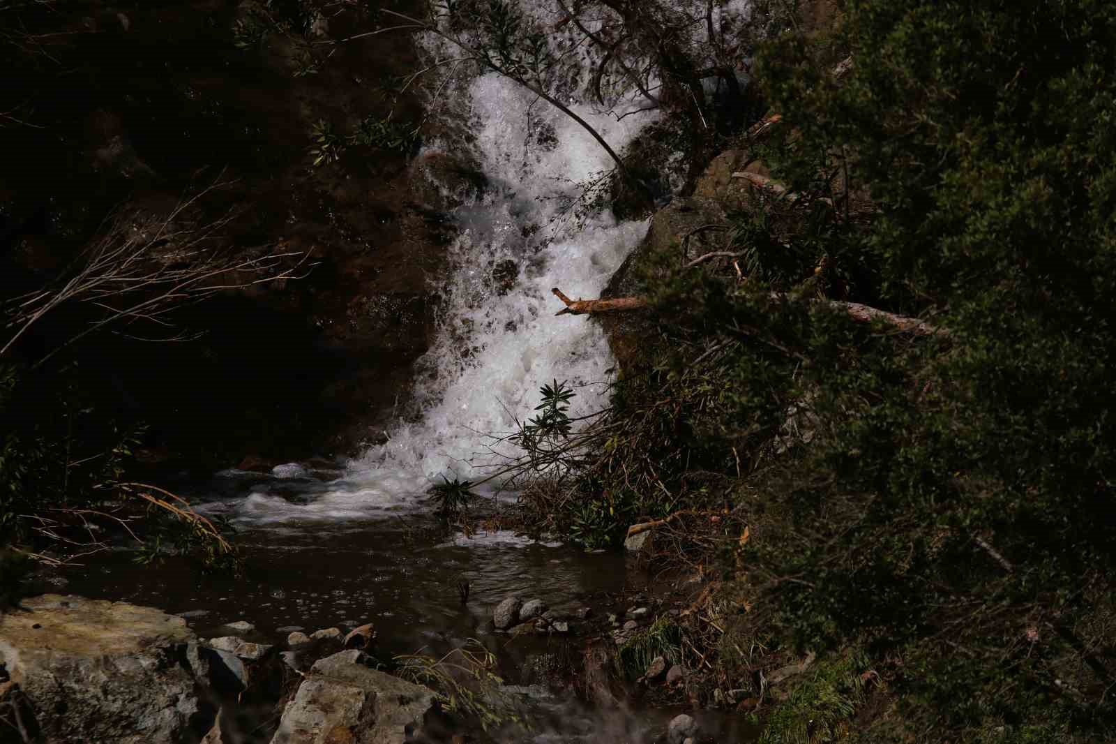 İzmir’de yağışların ardından Sancaklı Şelalesi coştu
