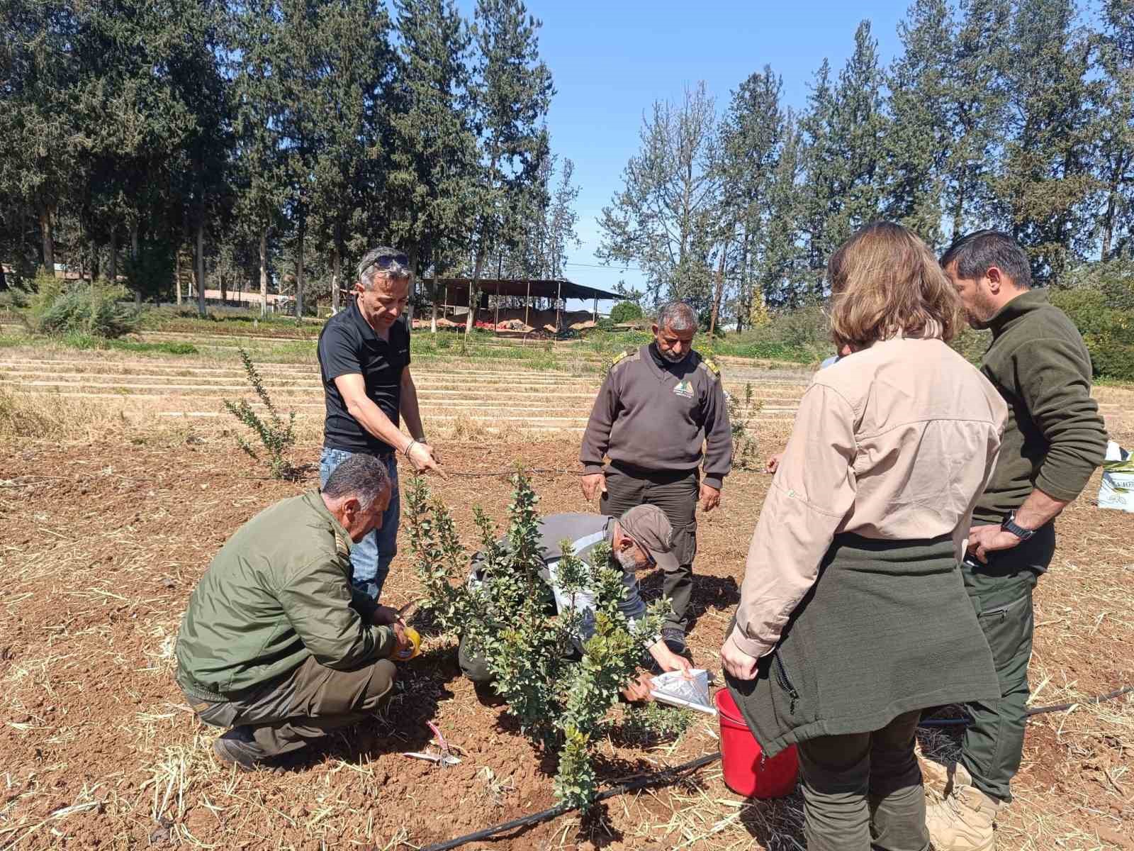 İzmir’in damla sakızı KKTC’de toprakla buluştu
