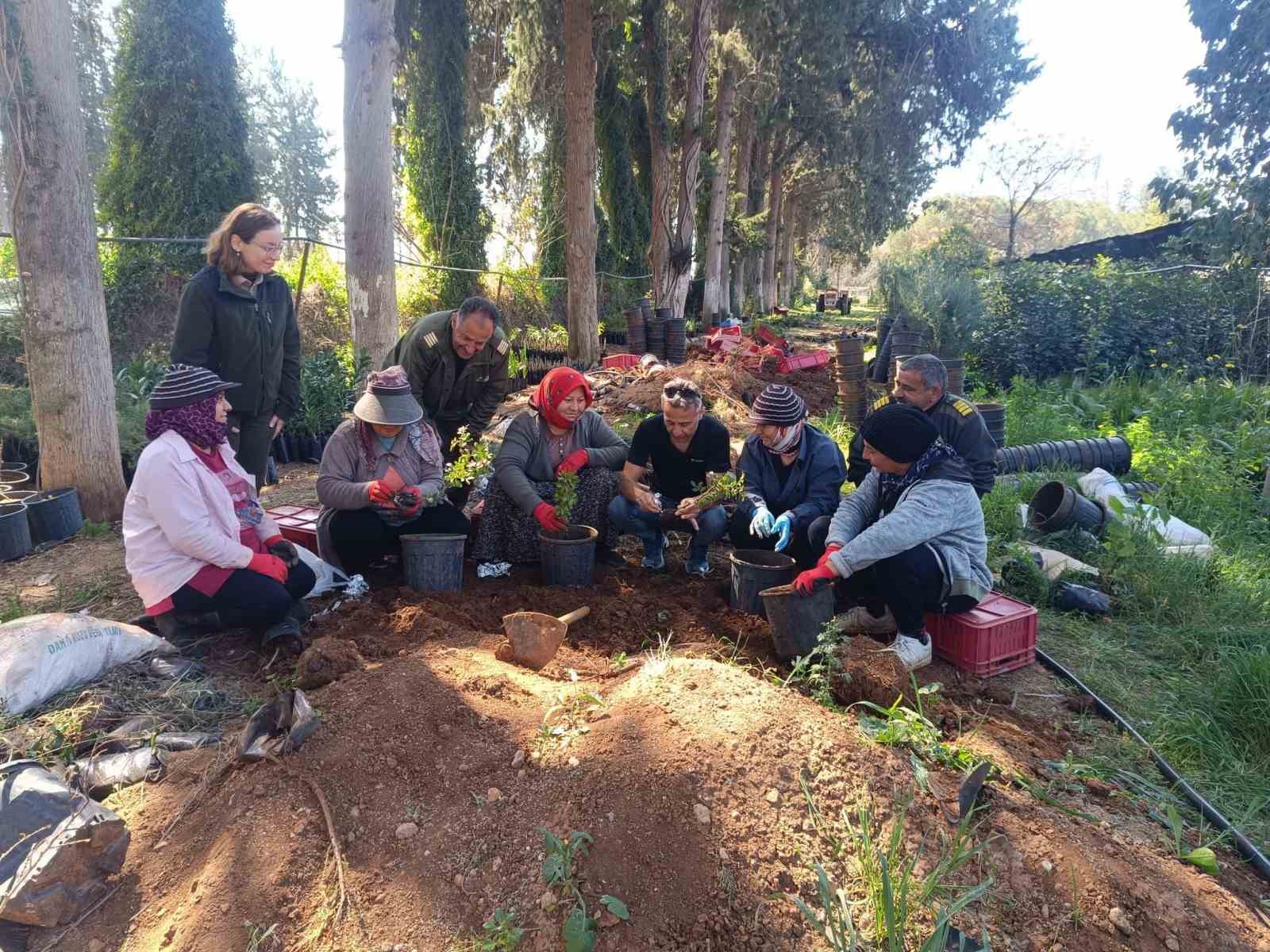 İzmir’in damla sakızı KKTC’de toprakla buluştu
