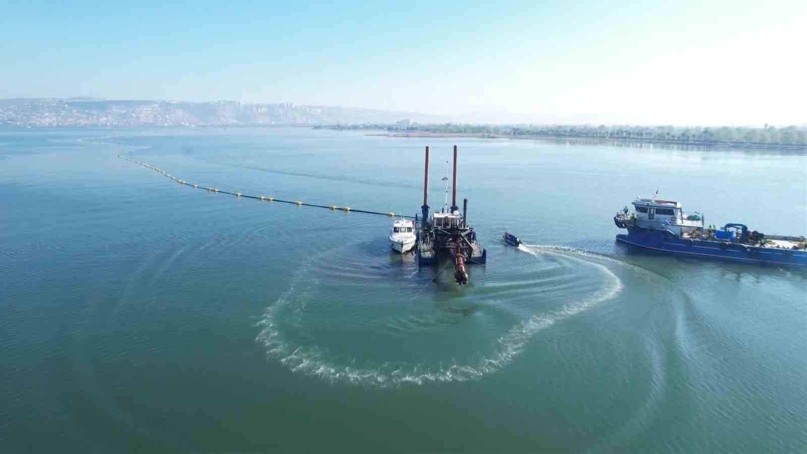 İzmit Körfezi’nde çamur gitti, allı turnaların sayısı ikiye katlandı
