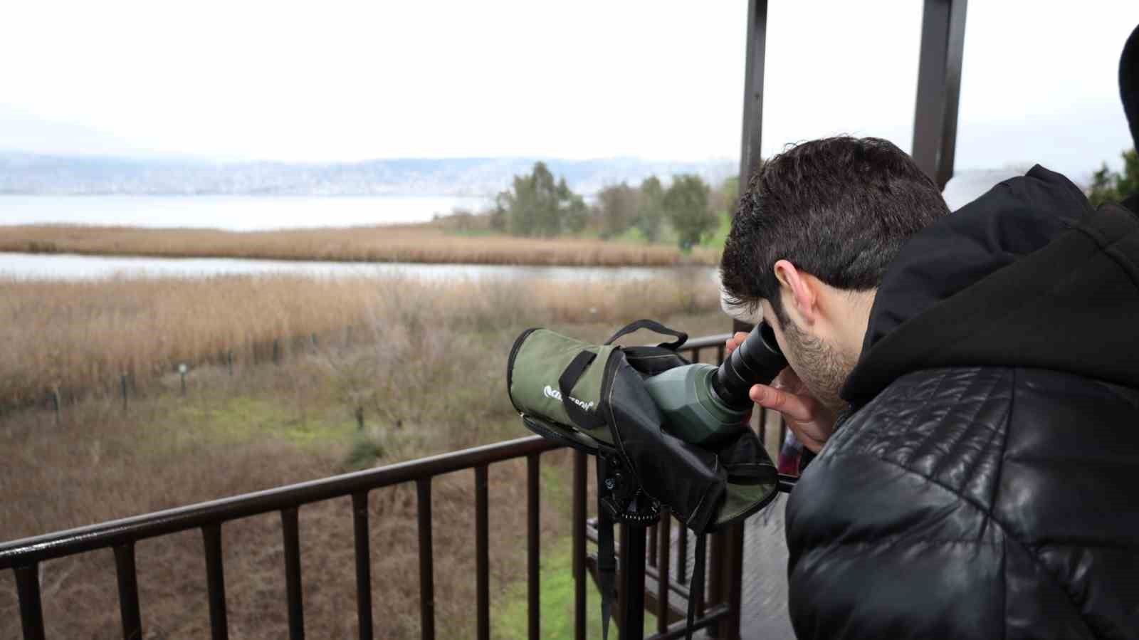 İzmit Körfezi’nin zarif misafirleri şenlikte görüntülendi
İzmit Körfezi’nin zarif misafirleri şenlikte görüntülendi