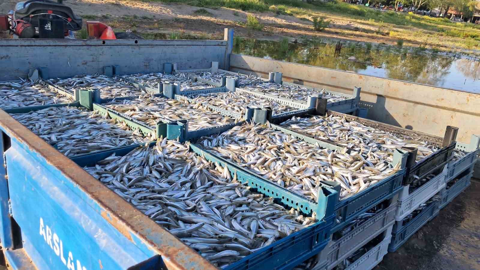 İznik Gölü’nde bereketli sezon...Gümüş balığında yüzler gülüyor

