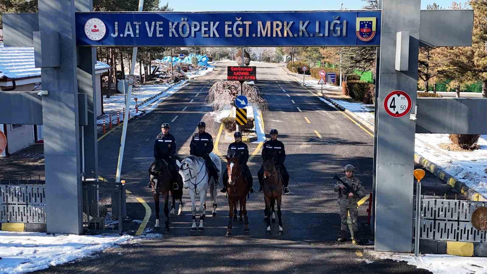 JAKEM’de atlar eğitimde
JAKEM’de atlar eğitimde