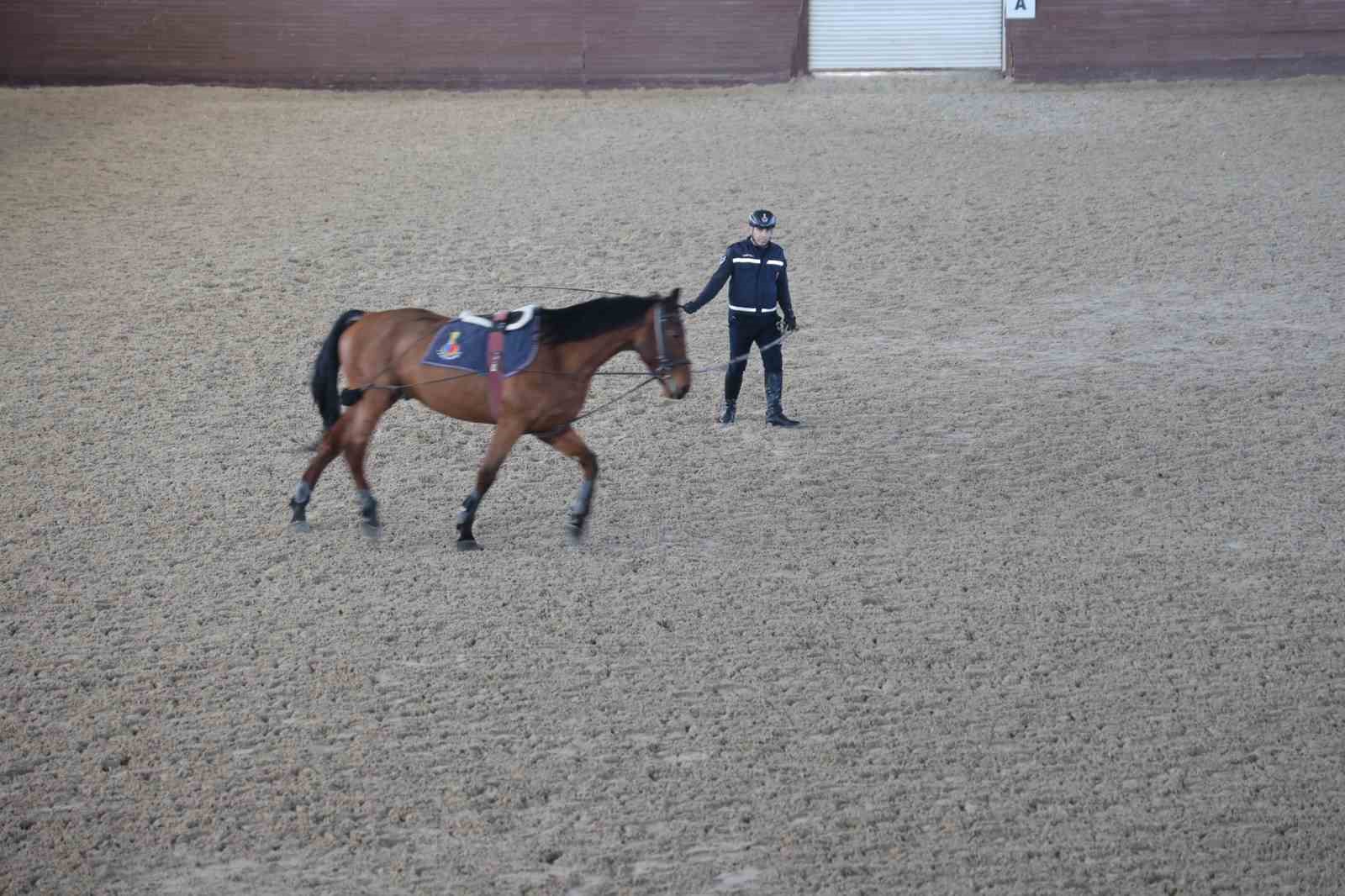 JAKEM’de atlar eğitimde
JAKEM’de atlar eğitimde