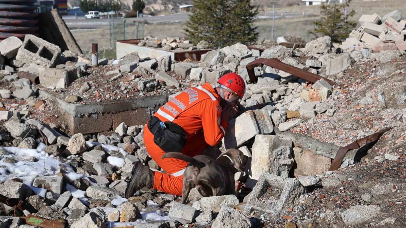JAKEM’de deprem sonrası umut arayan patiler
