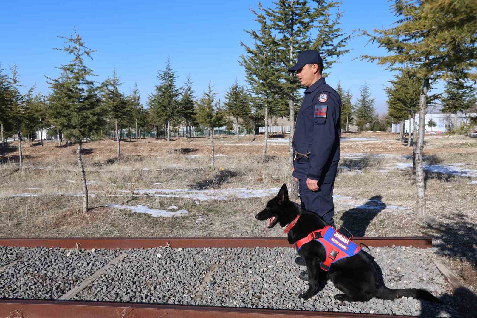 JAKEM’de görev köpekleri zorlu görevlere hazırlanıyor
