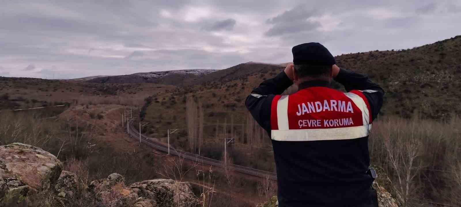 Jandarma ekipleri doğadaki canlıları unutmadı
