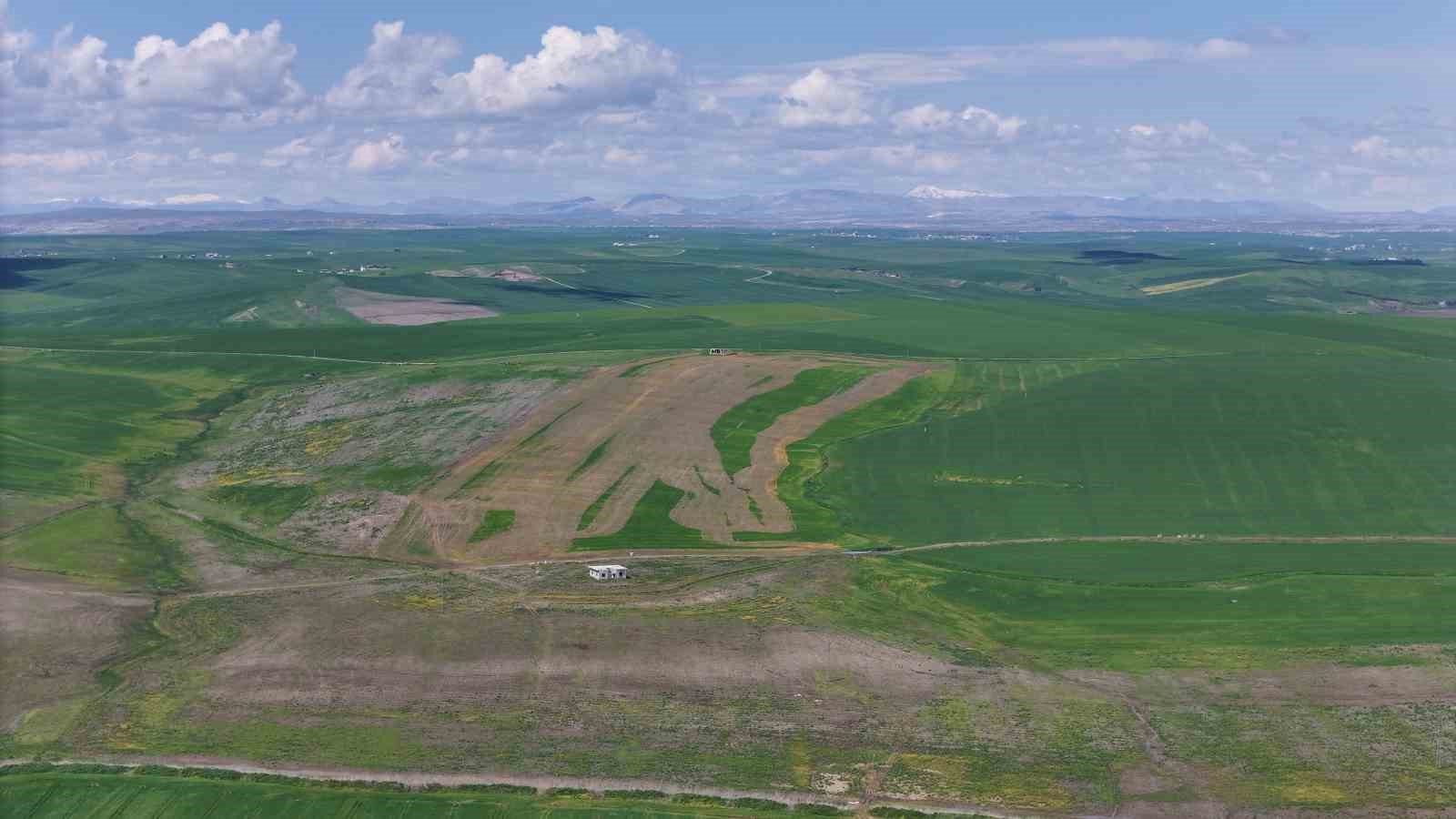 Jandarma eşliğinde ektiği 250 dönüm tarla iddiaya göre akrabaları tarafından ilaçlanarak kurutuldu
Jandarma eşliğinde ektiği 250 dönüm tarla iddiaya göre akrabaları tarafından ilaçlanarak kurutuldu