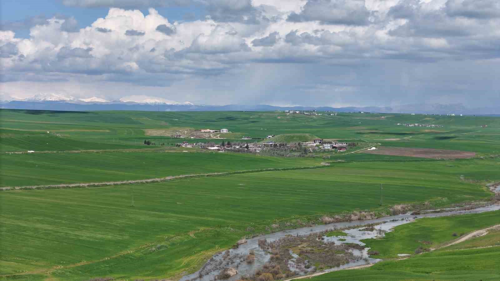 Jandarma eşliğinde ektiği 250 dönüm tarla iddiaya göre akrabaları tarafından ilaçlanarak kurutuldu
Jandarma eşliğinde ektiği 250 dönüm tarla iddiaya göre akrabaları tarafından ilaçlanarak kurutuldu