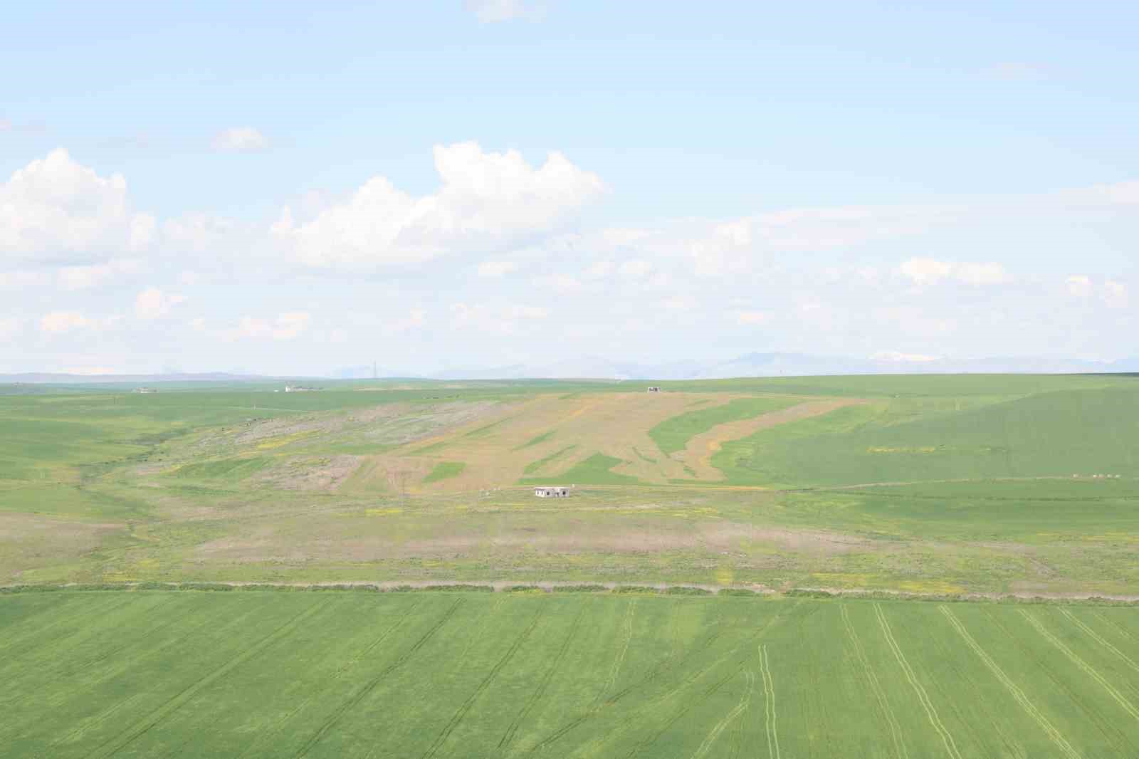 Jandarma eşliğinde ektiği 250 dönüm tarla iddiaya göre akrabaları tarafından ilaçlanarak kurutuldu
Jandarma eşliğinde ektiği 250 dönüm tarla iddiaya göre akrabaları tarafından ilaçlanarak kurutuldu