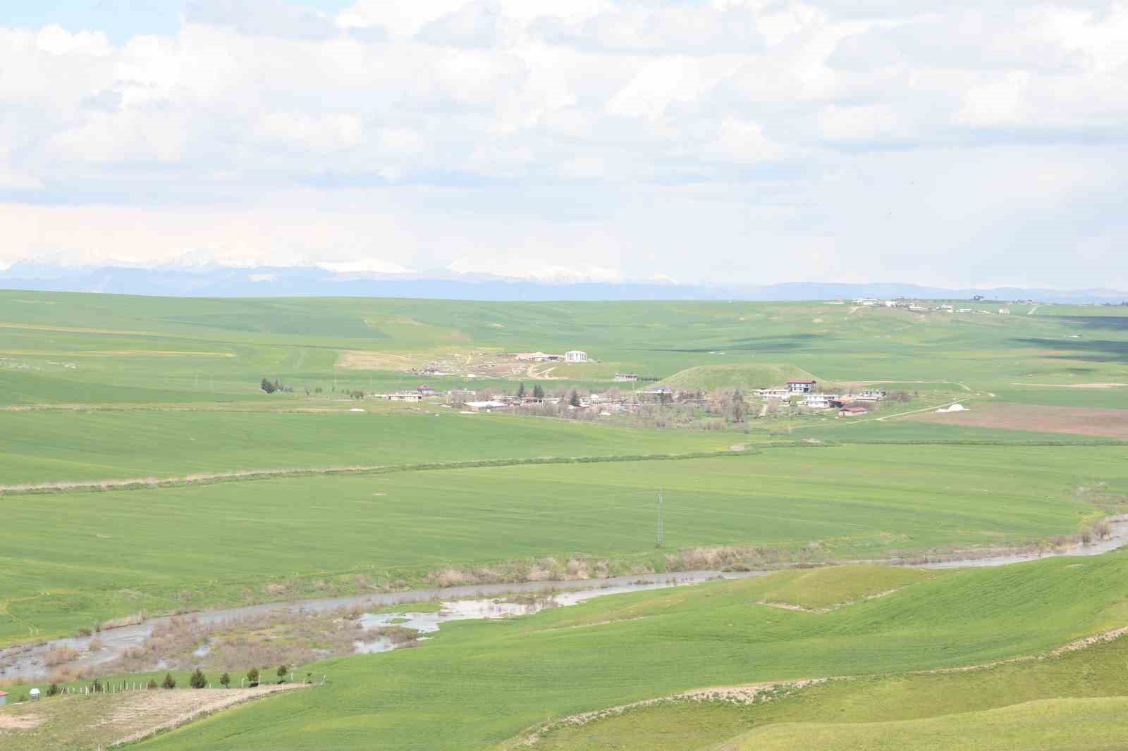 Jandarma eşliğinde ektiği 250 dönüm tarla iddiaya göre akrabaları tarafından ilaçlanarak kurutuldu
Jandarma eşliğinde ektiği 250 dönüm tarla iddiaya göre akrabaları tarafından ilaçlanarak kurutuldu