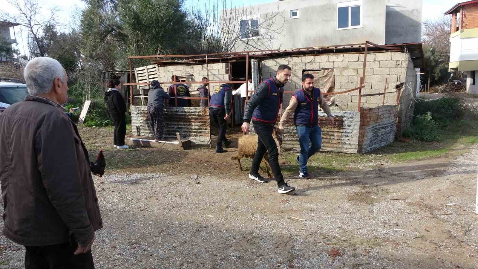 Jandarma kayıp 5 koyun için 3 iş yeri ve 9 meskene ait toplam 24 saatlik güvenlik kamerasını saniye saniye inceledi
