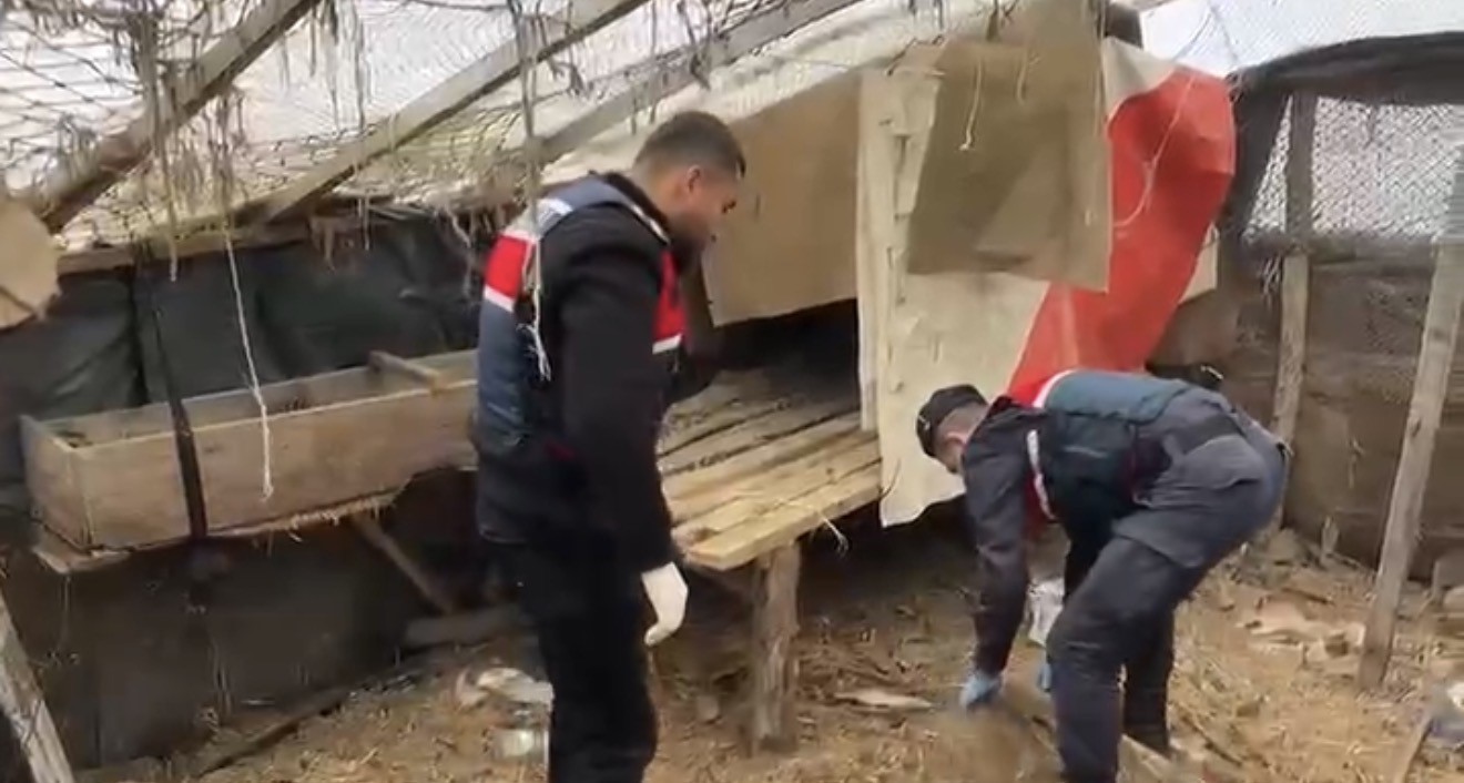 Jandarma, kümese saklanan uyuşturucuyu ele geçirdi: 2 gözaltı
