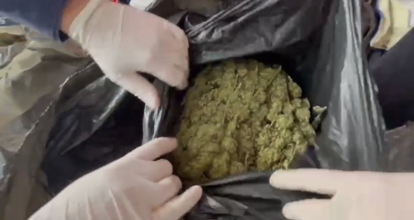 Jandarmadan uyuşturucu operasyonu: 1 tutuklama
